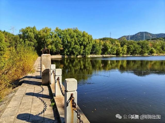 大连城山，挑战台阶之最，金龙寺森林公园风景太美了