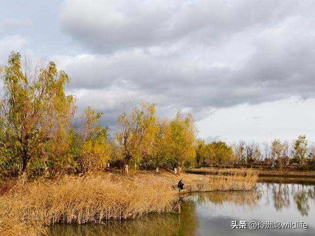 新疆昌吉头屯河公园