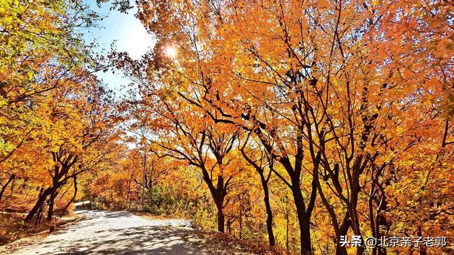 百望山三条宝藏徒步路线大揭秘