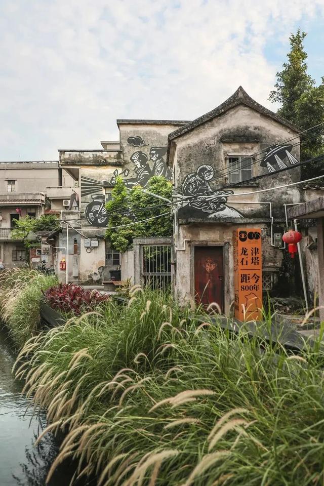 假期来宝安，读书、观海、“上雪山”!