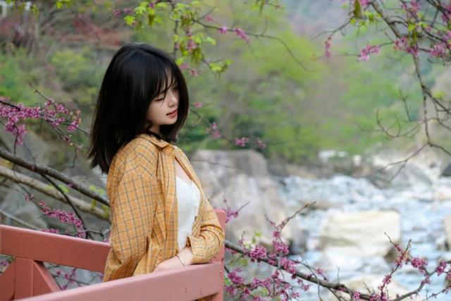 实况直击｜唐家河紫荆盛花期已至 花海打卡拍照直接封神