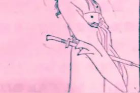 【历史探秘•人物】你并不了解的屈原图片