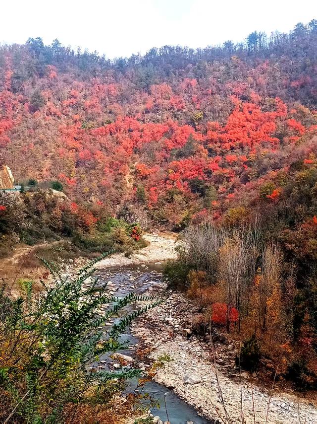 峡红衔路 风送秋光——清腰路秋行记