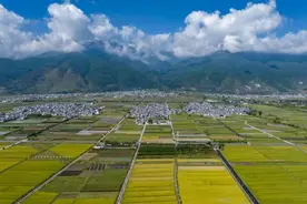 时评：主题教育切忌“走马观花”图片