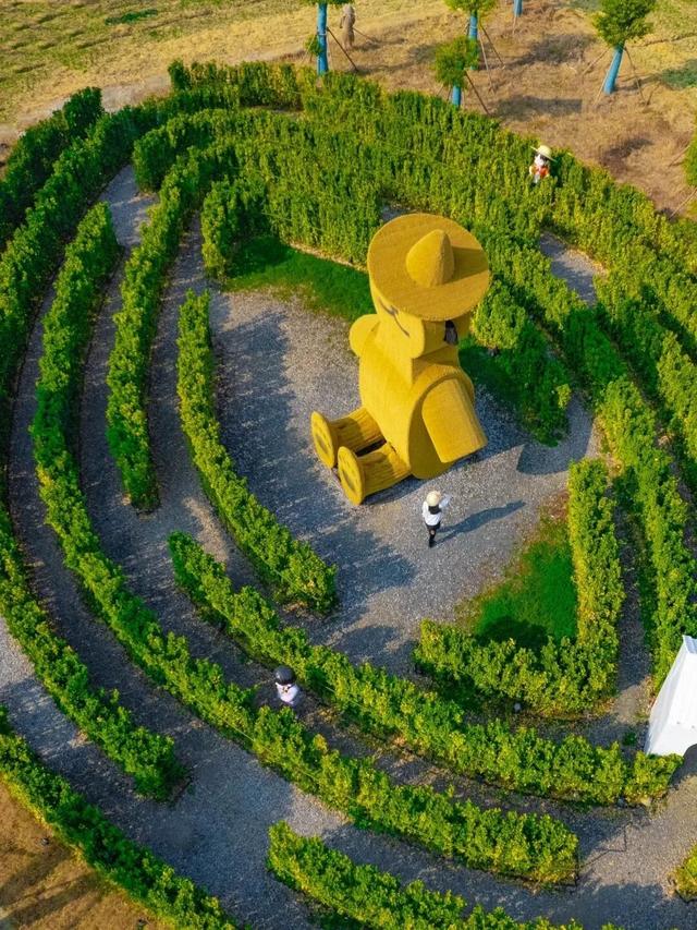 入选长三角典型案例！