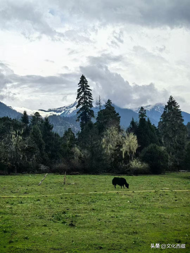 对不起，这看日照金山、流星、沙漠和雪山同框的宝藏地，我写晚了！