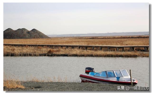 深秋时节，走进长春农安的波罗湖湿地