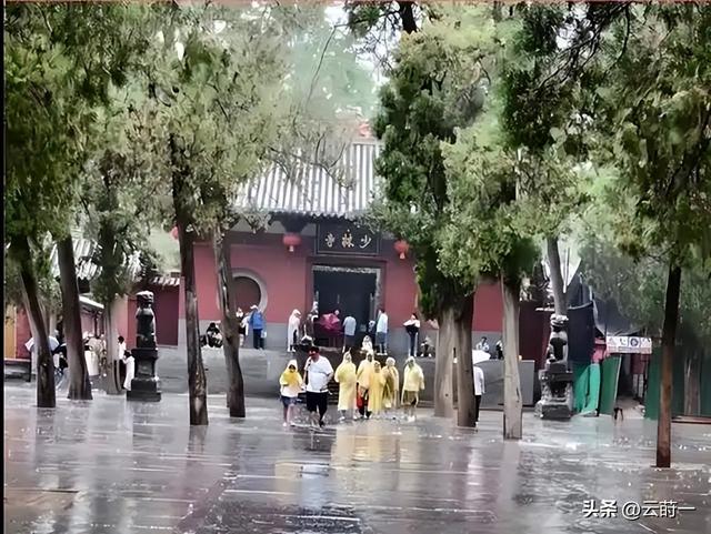 离谱！郑州特大暴雨！少林寺拒绝游客入屋避雨！理由引发网友争议
