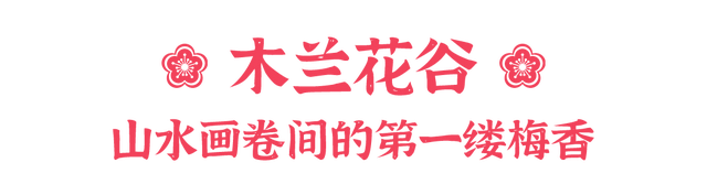 冬日寻梅记：黄陂这两处秘境，已被梅香腌入味！