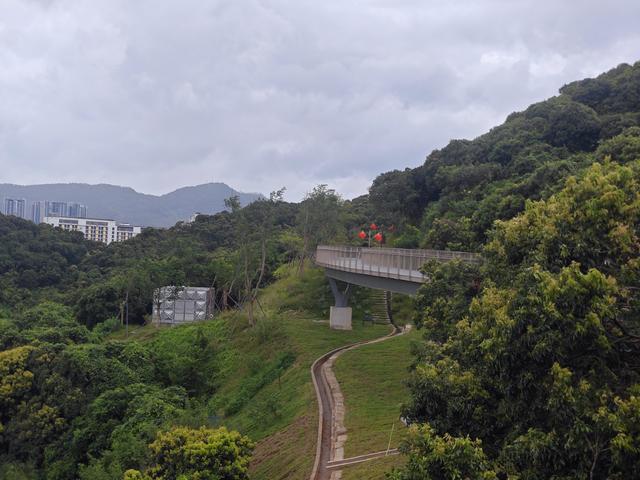 西丽湖国际科教城绿道高清随拍