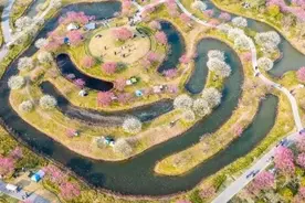 上海有这么多梅花展！快乘坐公共交通赴一场“梅”好约会图片