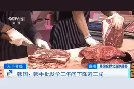 韩牛批发价“跌跌不休”！养一头损失超7000元！养殖户：越养越亏→图片