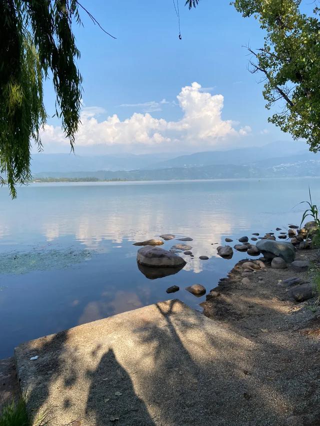 4月中下旬最后的花期，这6个地方还能赶上春天的尾巴