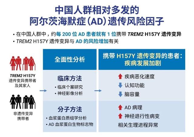 香港科技大学揭示中国人群遗传风险因子对阿尔茨海默症的关键影响