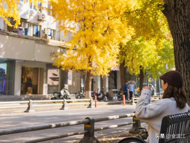 在“杏”福满满的大南街！这样拍超出片