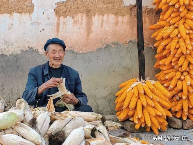 旅居祥云 | 普淜镇：秋收好景话丰年