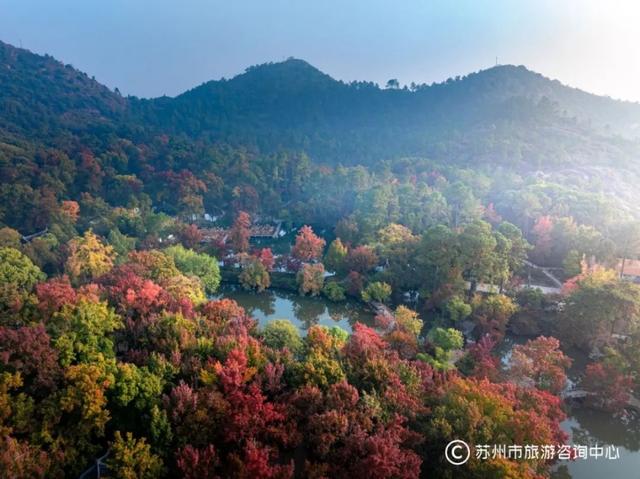 九九重阳，上秋山！