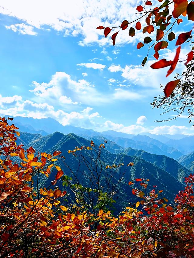 广东哪里赏秋？四条绝美自驾路线遇见南国红叶黄叶