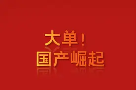 国产崛起！中国电信集采15.6万台服务器，ARM架构赢麻了图片