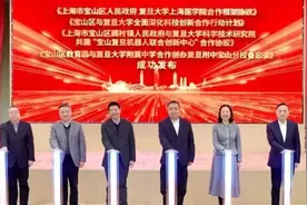 复附强势入驻宝山，格局突变！宝山VS松江，谁才是郊区新晋顶流？图片