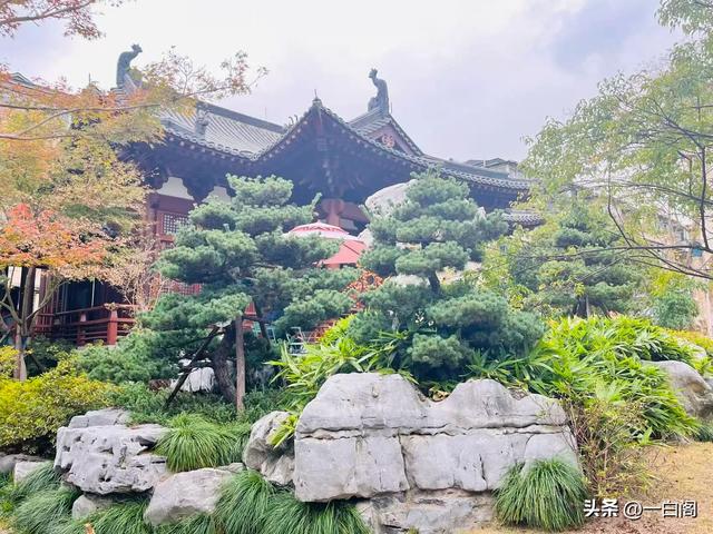 杭州德寿宫寻宋记