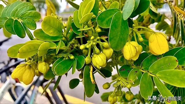 我这么爱你，你也爱我吗