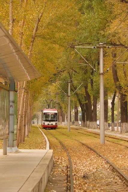 城市旅游篇 | 𝑪𝒉𝒂𝒏𝒈 𝑪𝒉𝒖𝒏 长春旅游文案