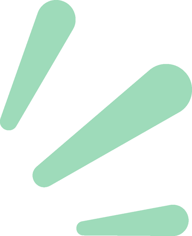 一园月季韵，满城春日情｜中国月季园月季文化系列活动重磅登场