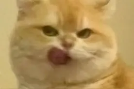 第一次出国办哪几张国内的银行卡，可以在日本直接用？图片