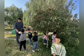 秋意浓 山楂红——盐窝镇中心幼儿园大赵分园采摘山楂活动图片