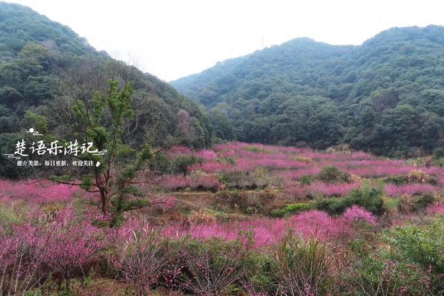 浙江宁波的山海风景线，山岙里藏着多个古村和网红景点，值得游玩