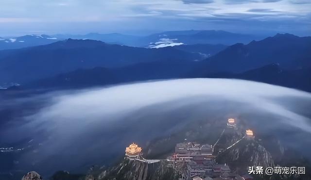 魏暐第19次登老君山，雨后奇观震撼全网，千万播放背后的神秘力量