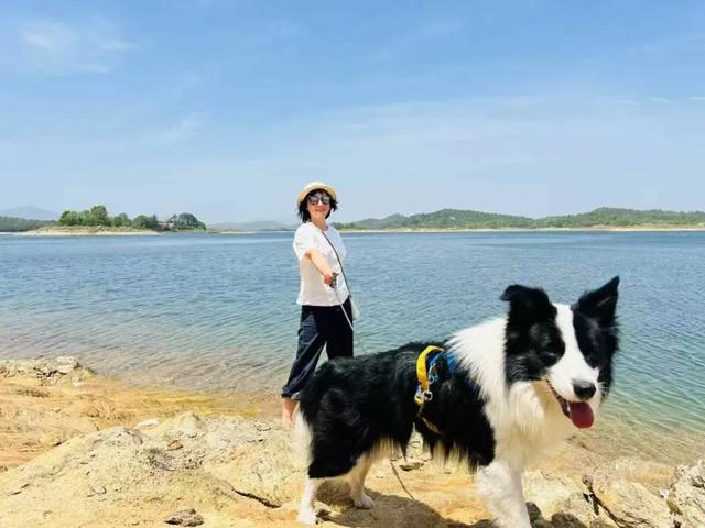 国家级3A 黄陂再+1