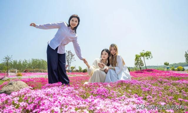 西海岸牡丹芍药赏花季！开幕！