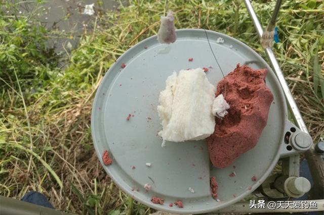 深秋钓大鱼，4种饵料随手可得，狂口还能防大风
