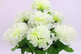 儿子突发心梗离世，我成了世上最凄惨的失独母亲图片