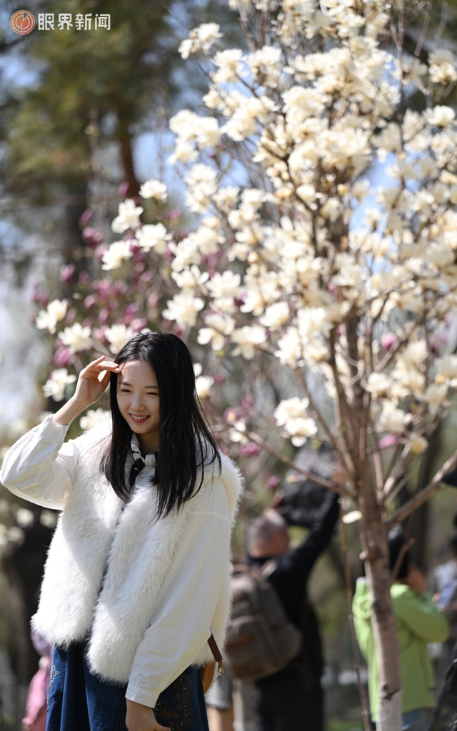 被乌鲁木齐的春天治愈了，花开满城→
