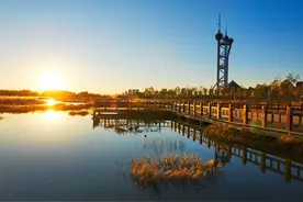 大庆，黑龙江的石油之城：历史、文化与美食图片