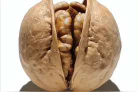 吃核桃的好处与功效，还有哪些是你不知道的？医生告知图片