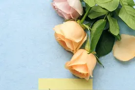 真诚走心的教师节文案，盛行千里不忘师恩图片