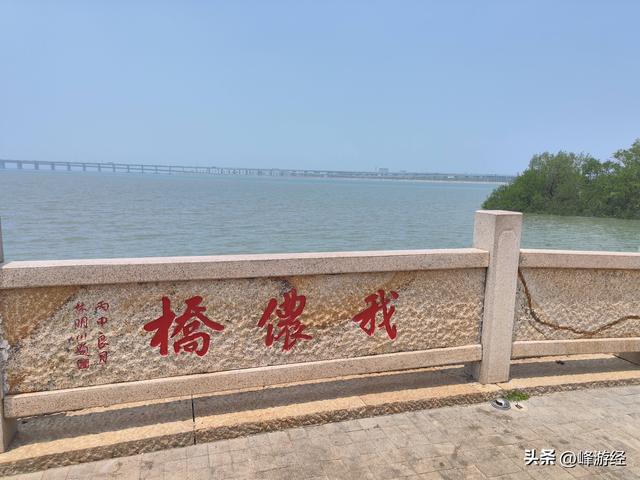 趁节假日免费，体验深中通道，羊毛薅了一半便被堵在路上