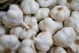 活了三十年才发现，保存大蒜这么简单！不干瘪不发芽，放一年都不坏，方法太实用了，可惜都不知！图片