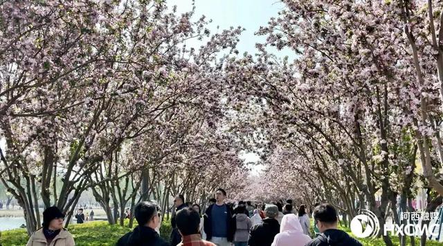 春日河西，这条大道人从众！