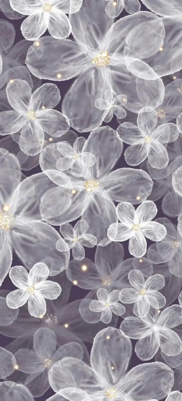 " 巨好看的手机壁纸 "40张