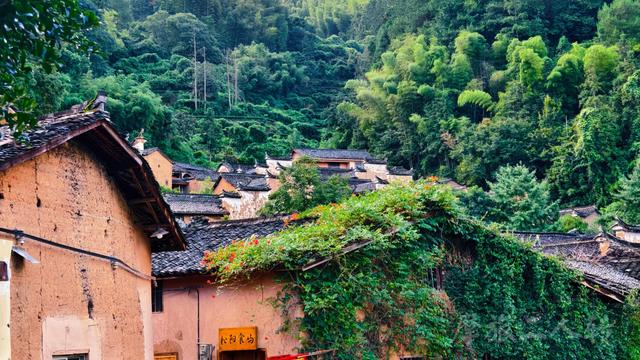 皖浙摩旅二人转——松阳杨家堂篇（下）