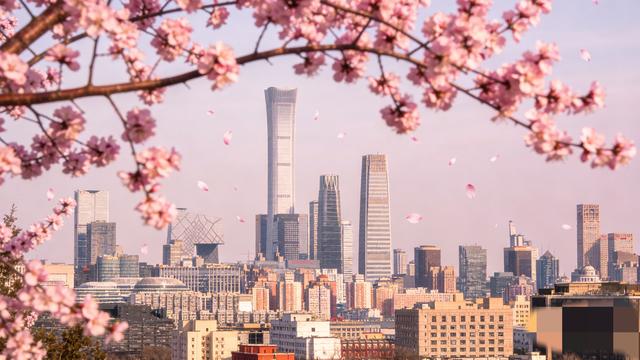 北京桃花刷屏出圈！满城粉白开得正盛，错过这7天再等一整年
