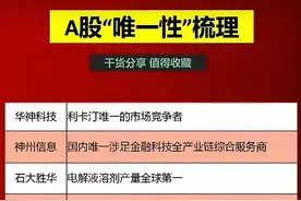 具有唯一性的A股上市企业梳理图片