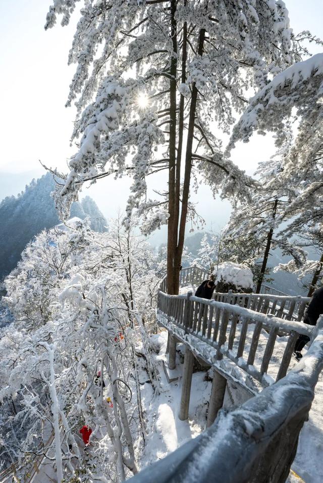 光雾山什么时候下雪⁉️「官方预测攻略」来咯~