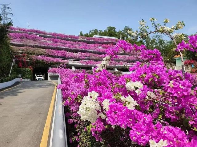 [福建 厦门市翔安区]