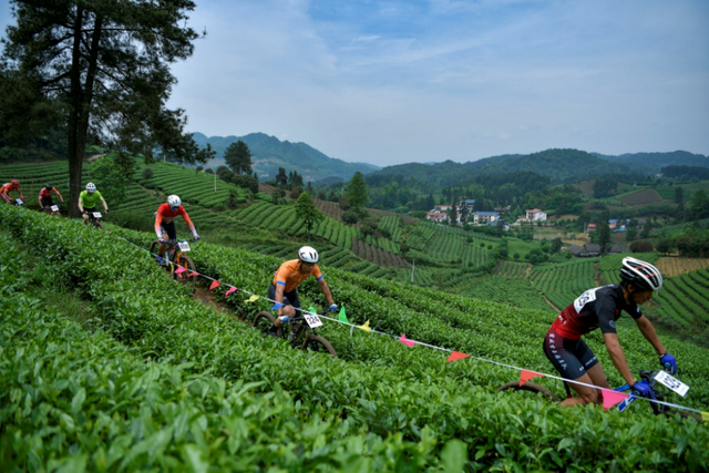 春假出逃计划 │ 从指尖绿意到星空露营，开启春日黔北茶韵之旅！